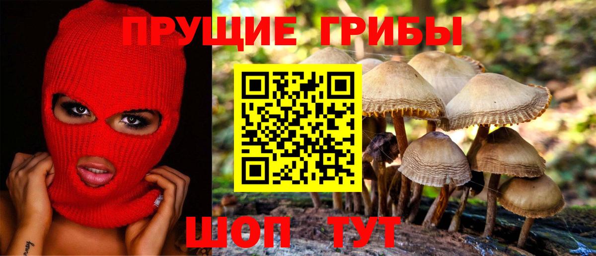 Куйбышев  Галлюциногенные грибы MAGIC MUSHROOMS  Галлюциногенные грибы MAGIC MUSHROOMS  Вход с VPN 